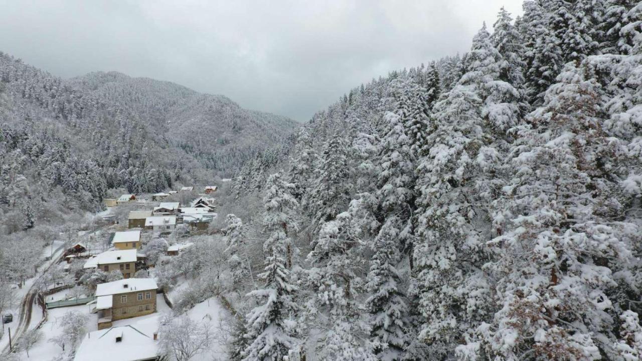 Serenity Likani Villa Hotel Borjomi Dış mekan fotoğraf