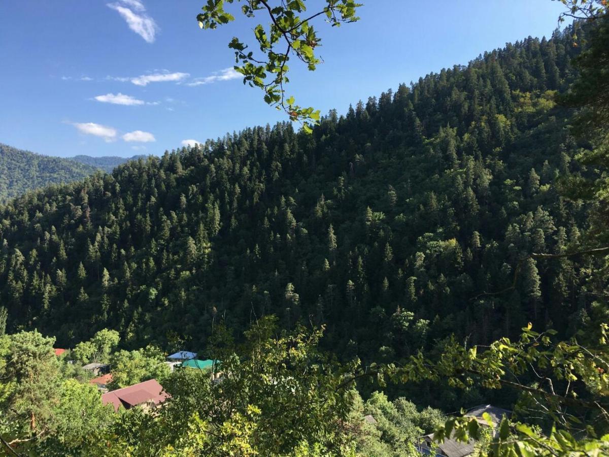 Serenity Likani Villa Hotel Borjomi Dış mekan fotoğraf