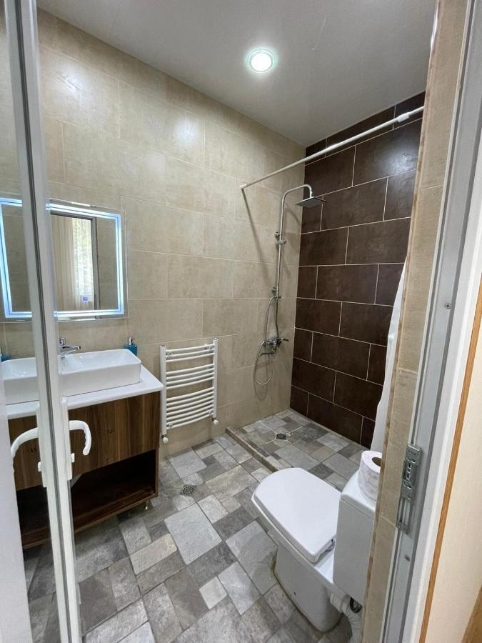 Serenity Likani Villa Hotel Borjomi Dış mekan fotoğraf