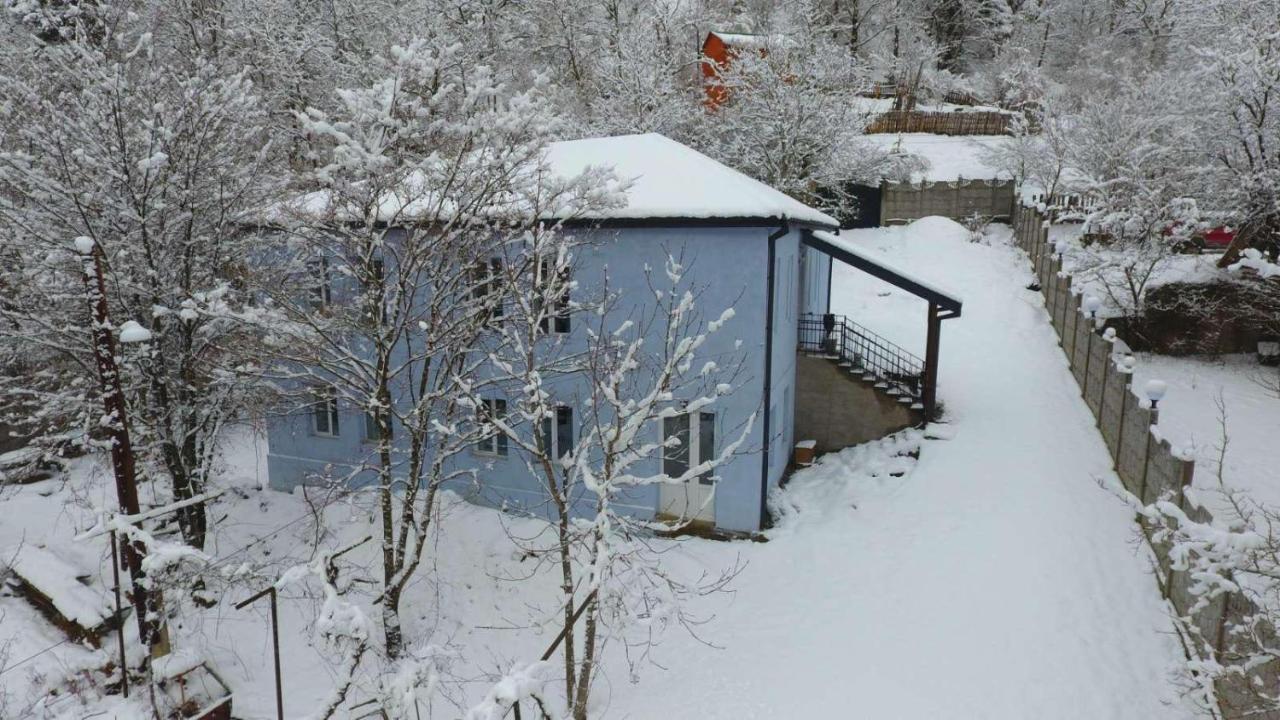 Serenity Likani Villa Hotel Borjomi Dış mekan fotoğraf