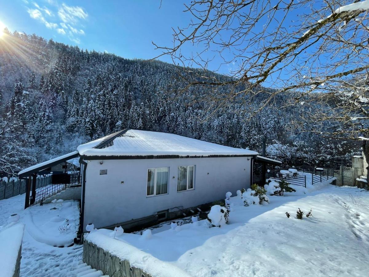 Serenity Likani Villa Hotel Borjomi Dış mekan fotoğraf