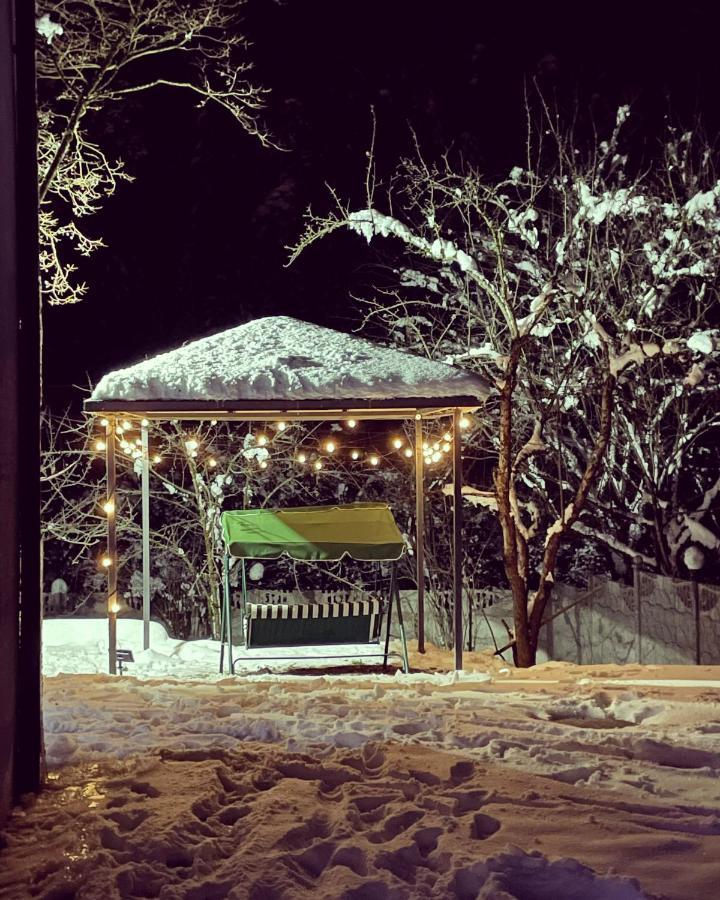 Serenity Likani Villa Hotel Borjomi Dış mekan fotoğraf