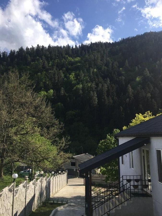 Serenity Likani Villa Hotel Borjomi Dış mekan fotoğraf