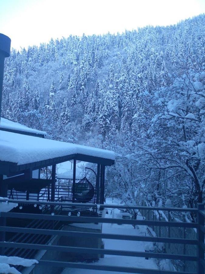 Serenity Likani Villa Hotel Borjomi Dış mekan fotoğraf