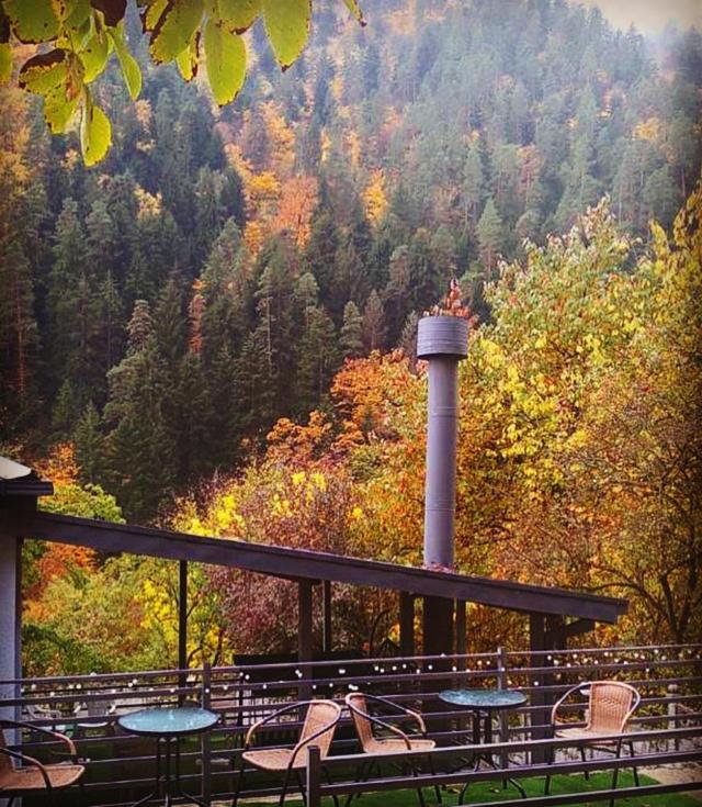Serenity Likani Villa Hotel Borjomi Dış mekan fotoğraf