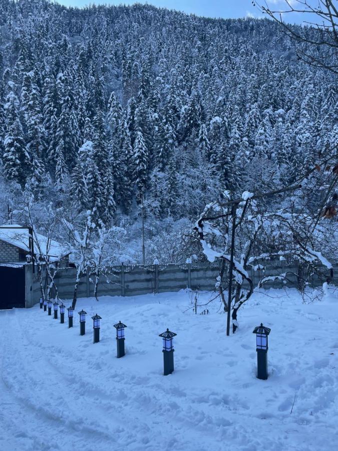 Serenity Likani Villa Hotel Borjomi Dış mekan fotoğraf