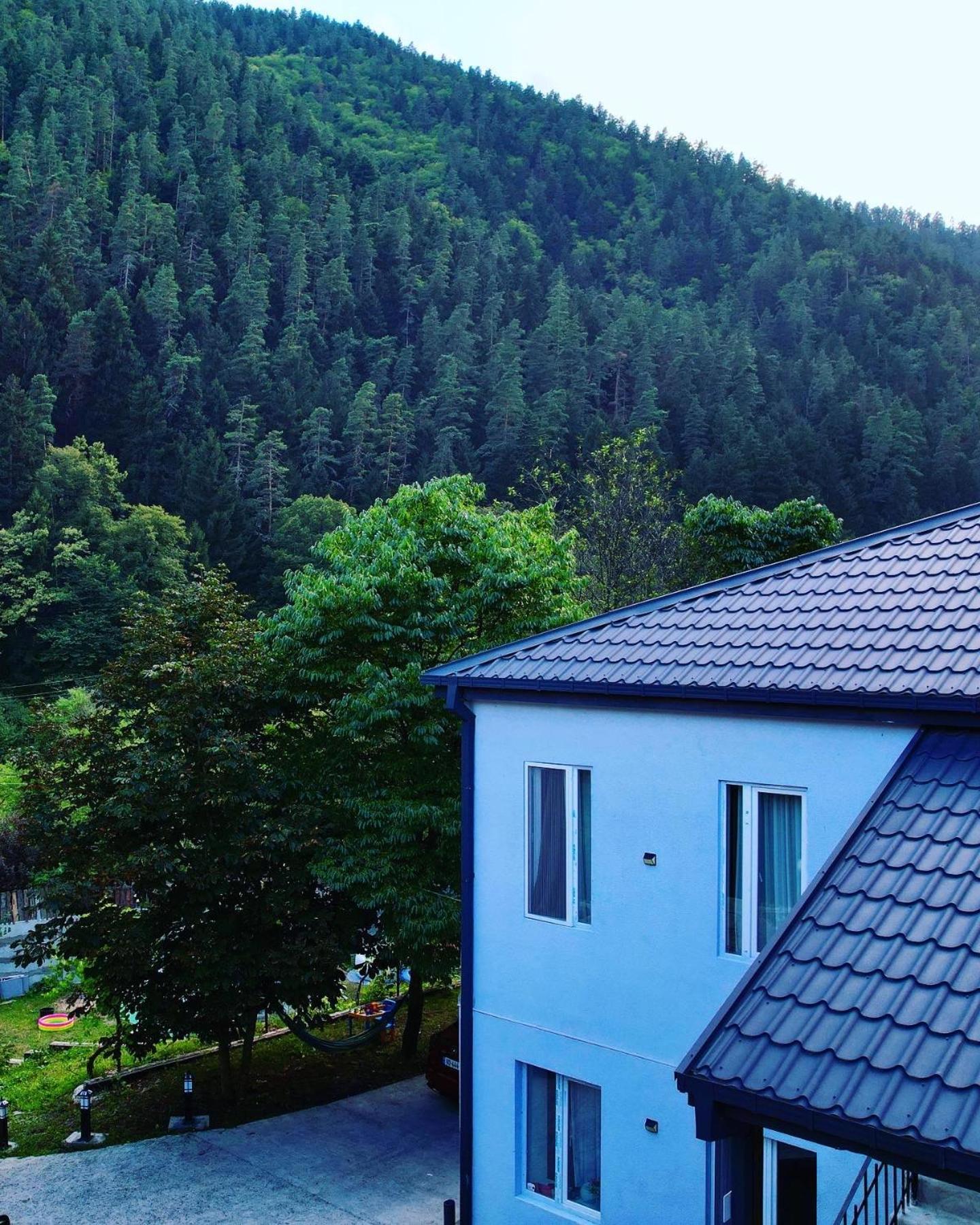 Serenity Likani Villa Hotel Borjomi Dış mekan fotoğraf