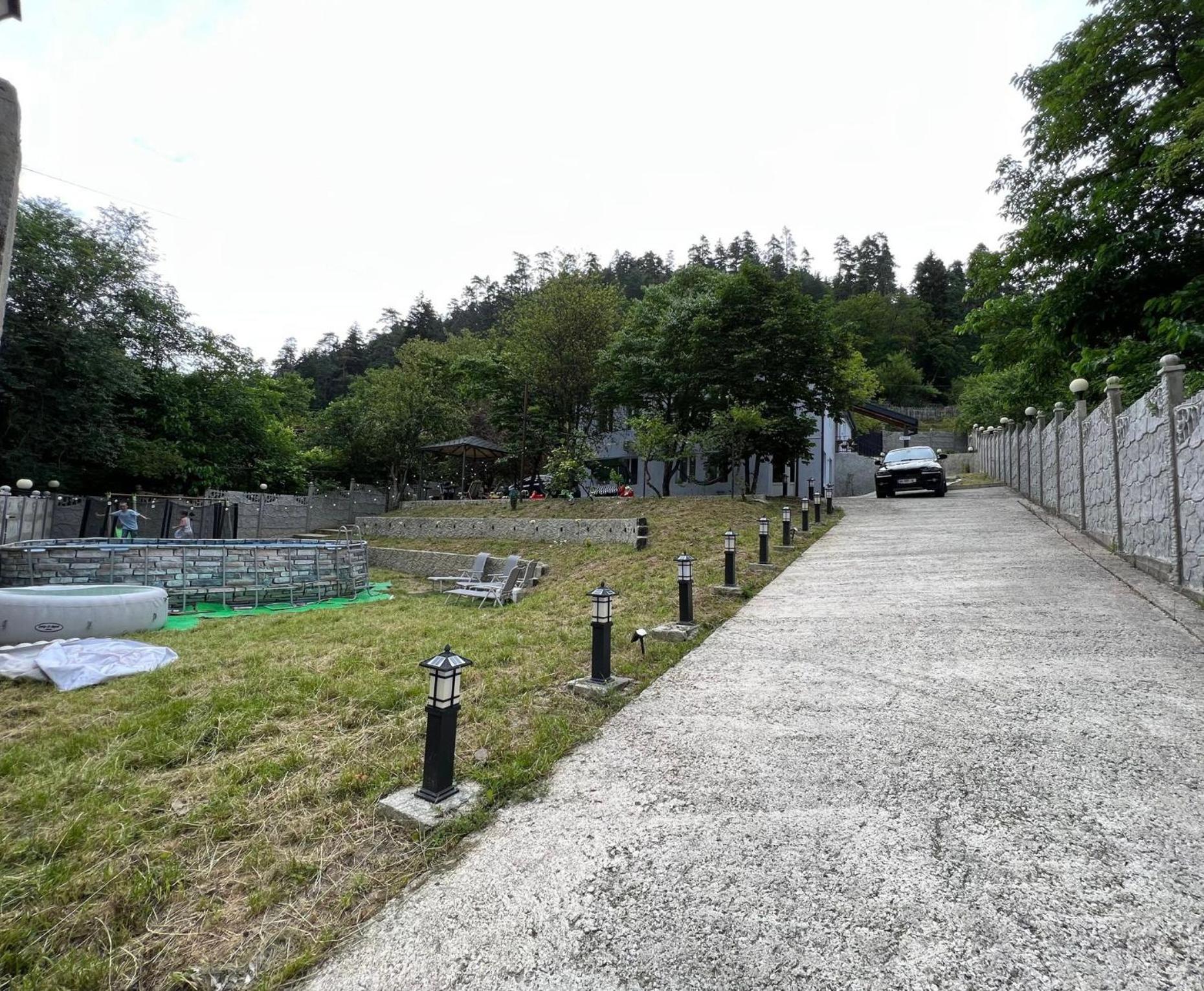Serenity Likani Villa Hotel Borjomi Dış mekan fotoğraf